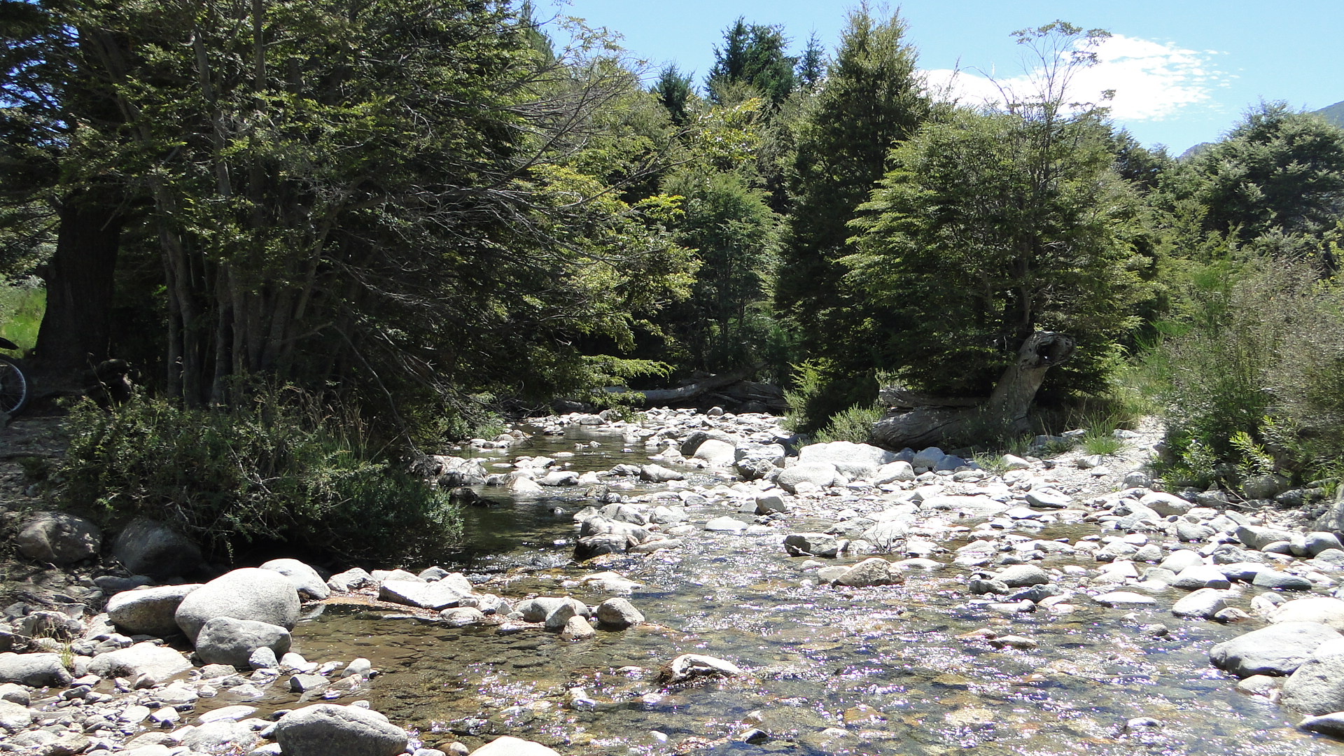 Ríos que bajan de la Cordillera abriéndose paso entre escarpadas rocas, puros, enérgicos, decididos.