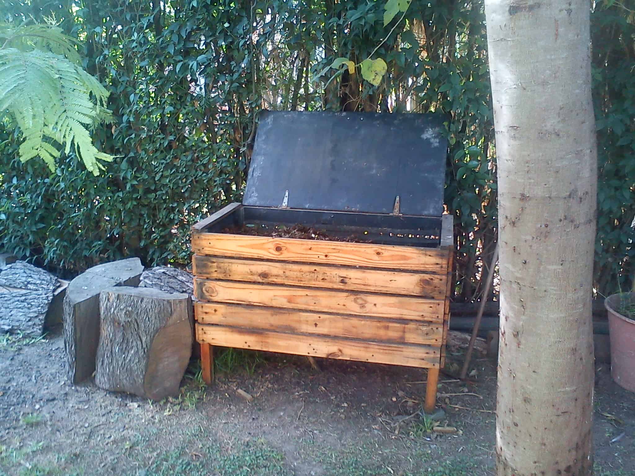 Semana del AMBIENTE