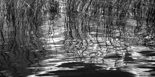 La naturaleza inspira, ¿alguna duda?