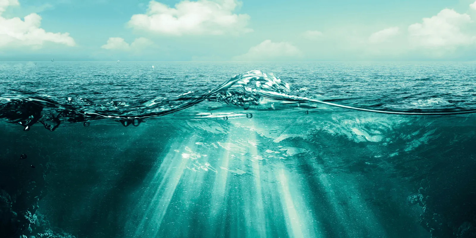 Neruda y el Mar con sus maravillas.