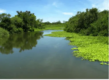 El Agua del reservorio subterráneo  GUARANÍ