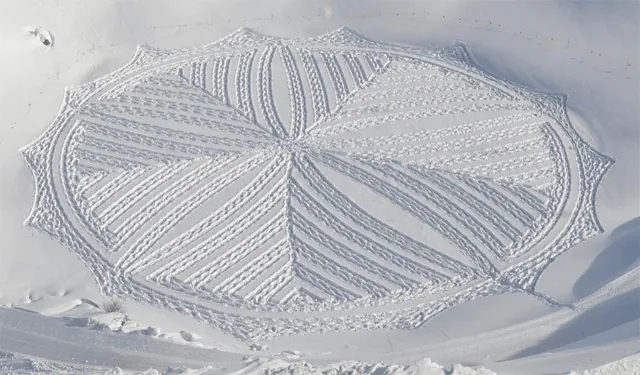 Cuando la naturaleza posibilita el ARTE