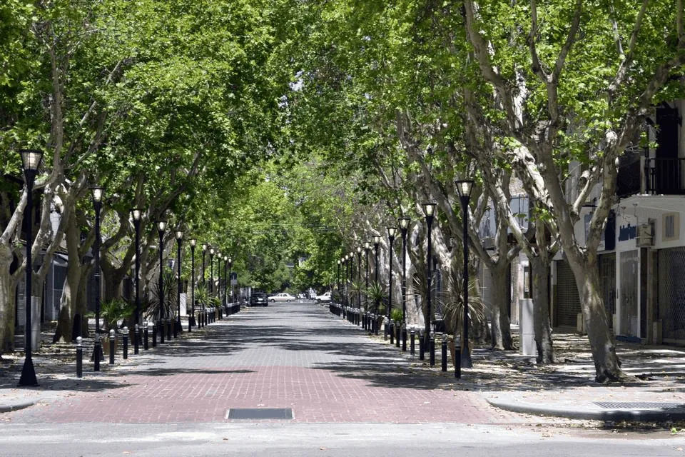 Las ciudades como ámbitos amigables para vivir.