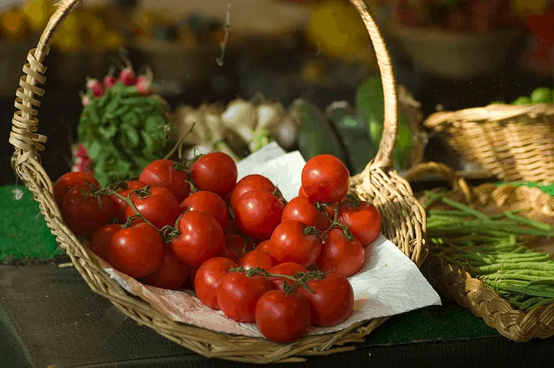 Tomates: de América al mundo, la naturaleza en la mesa.
