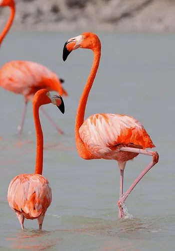 Ansenuza: Lagunas con origen legendario.