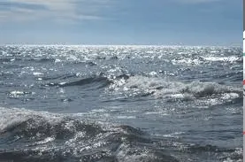 Vida en el Mar Patagónico.