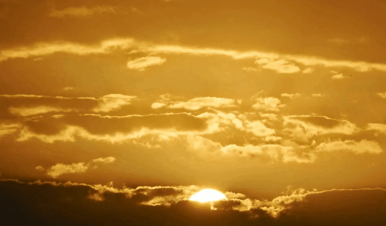 La música nos trae la naturaleza a nuestros oídos