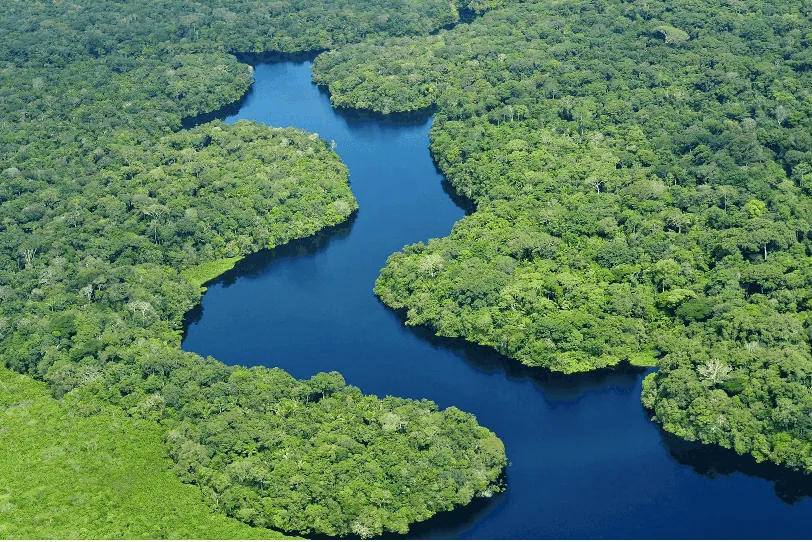 Brasil: Tierra de selvas y ríos.