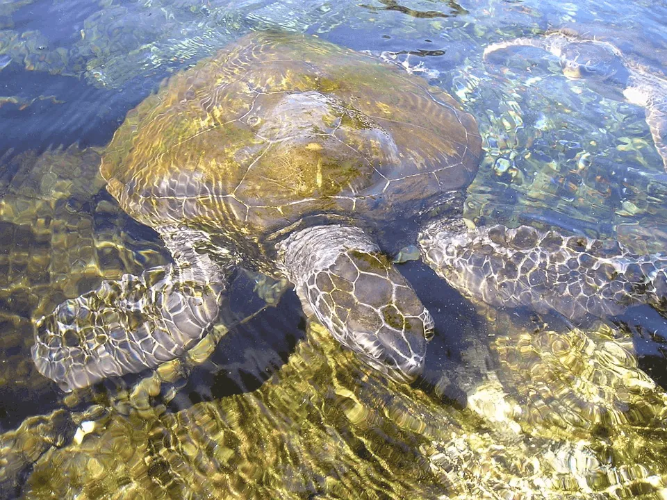 Ecuador: las encantadas Islas Galápagos