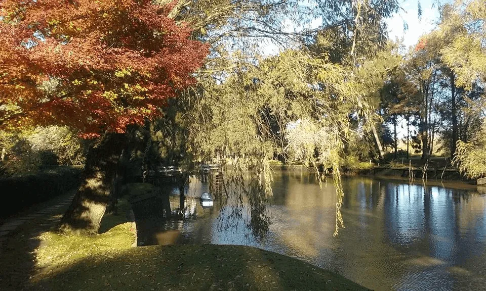 Delta del Paraná: una explosión de Biodiversidad