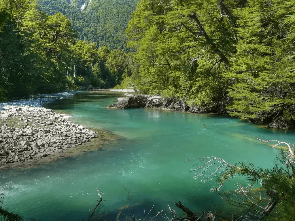 Parque Nacional Los Alerces: árboles milenarios en un Patrimonio Natural argentino.
