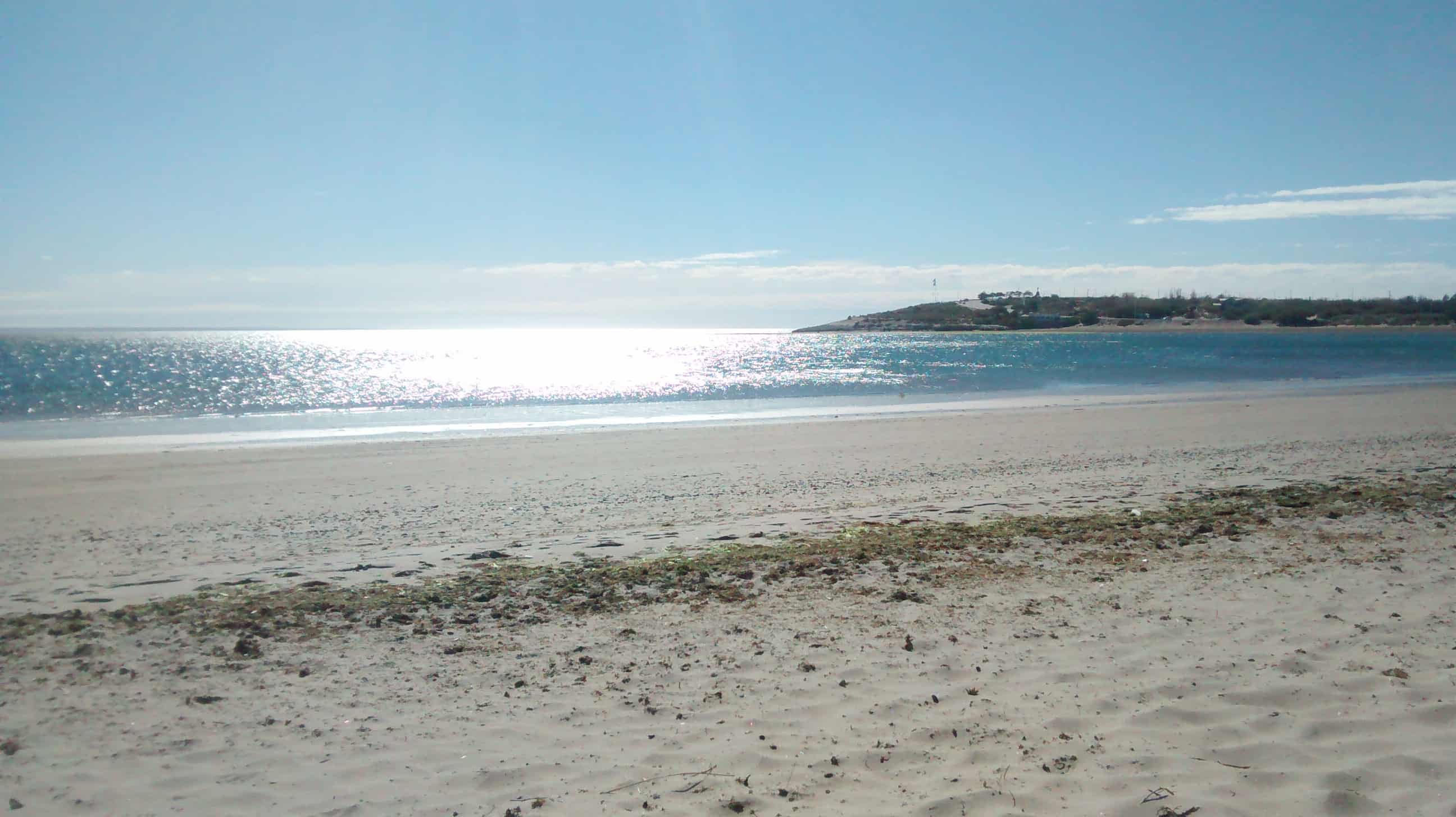 Descubriendo los habitantes del INTERMAREAL en la costa patagónica.