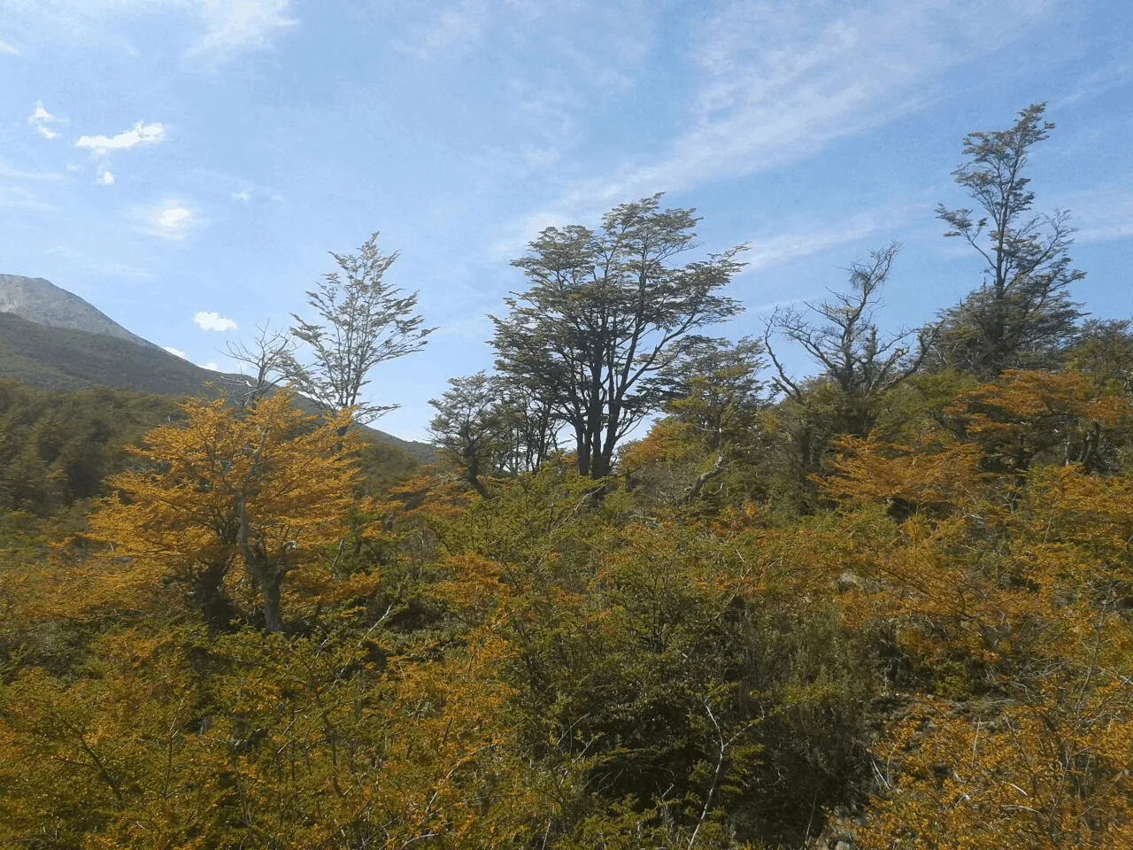 Naturaleza: "Porque te quiero, te cuido"