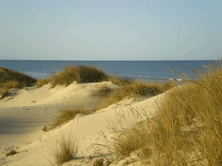 Doñana: marismas, playa y dunas. Tierra de mitos, leyendas y naturaleza salvaje