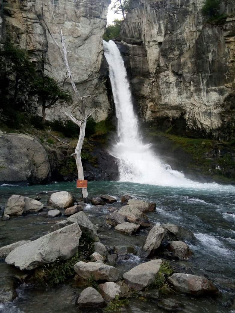 Vivir MOTIVADOS, cuidando la NATURALEZA