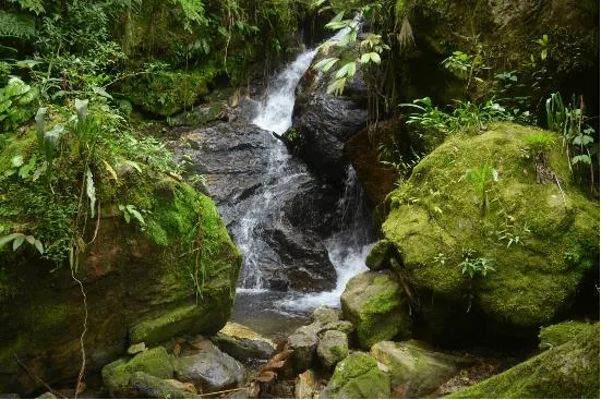 Ecología: La Naturaleza nos interroga