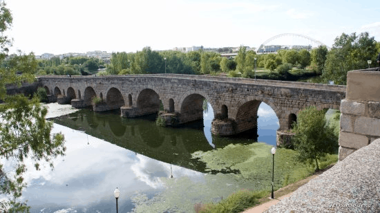 Cuando la lectura tiende puentes a mundos maravillosos