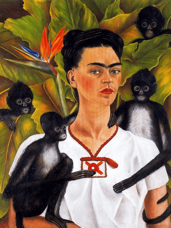 La naturaleza invita a educar la mirada