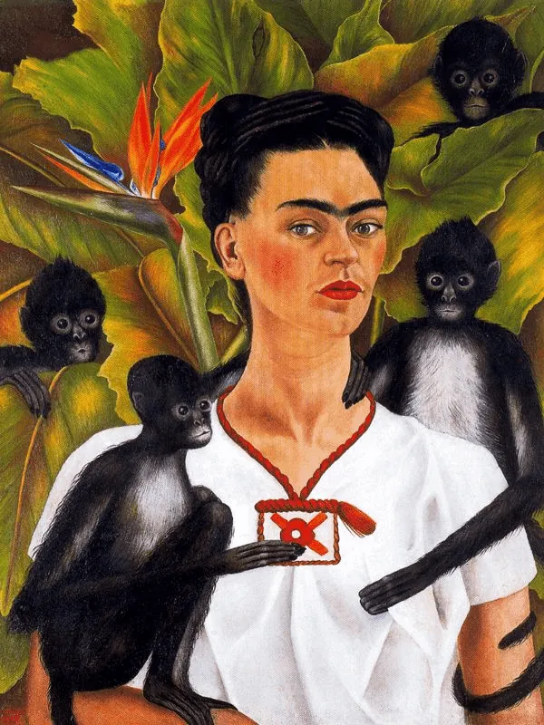 La naturaleza invita a educar la mirada