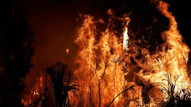 Fuego: creación y destrucción.