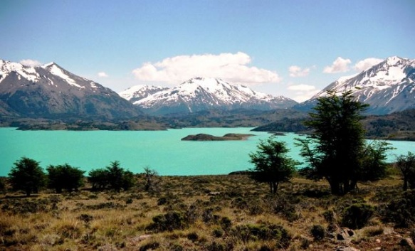 Descubrir la fauna a través del Ecoturismo: un proyecto posible después de la cuarentena