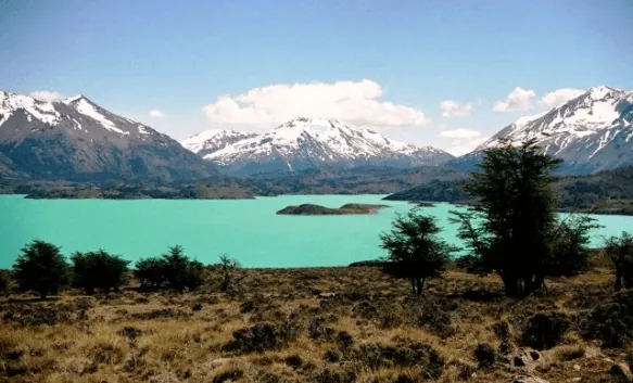 Descubrir la fauna a través del Ecoturismo: un proyecto posible después de la cuarentena