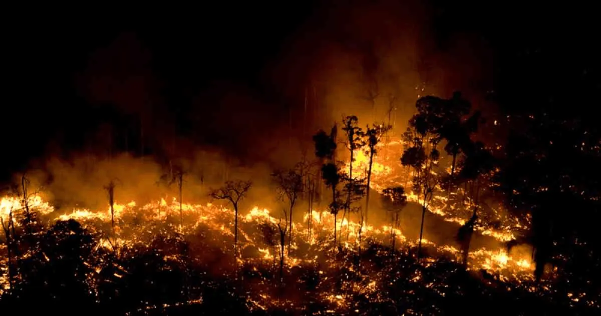 Dame fuego: tiempo de incendios.