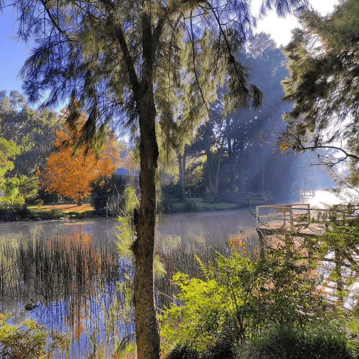 El Delta del Paraná, nuestro Tempe del Plata