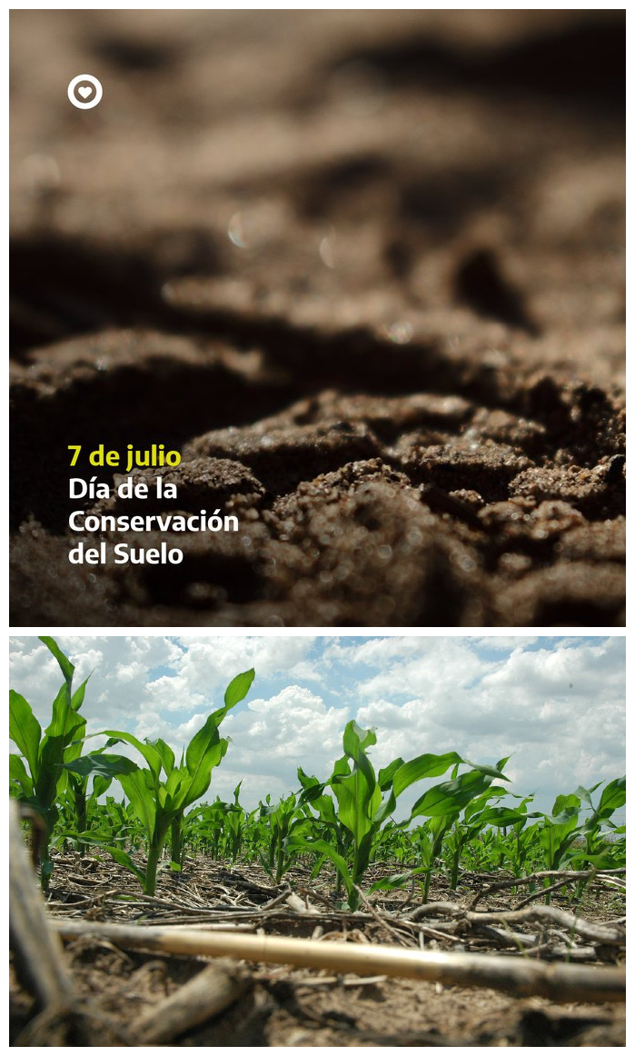 Los suelos dan vida a la Tierra