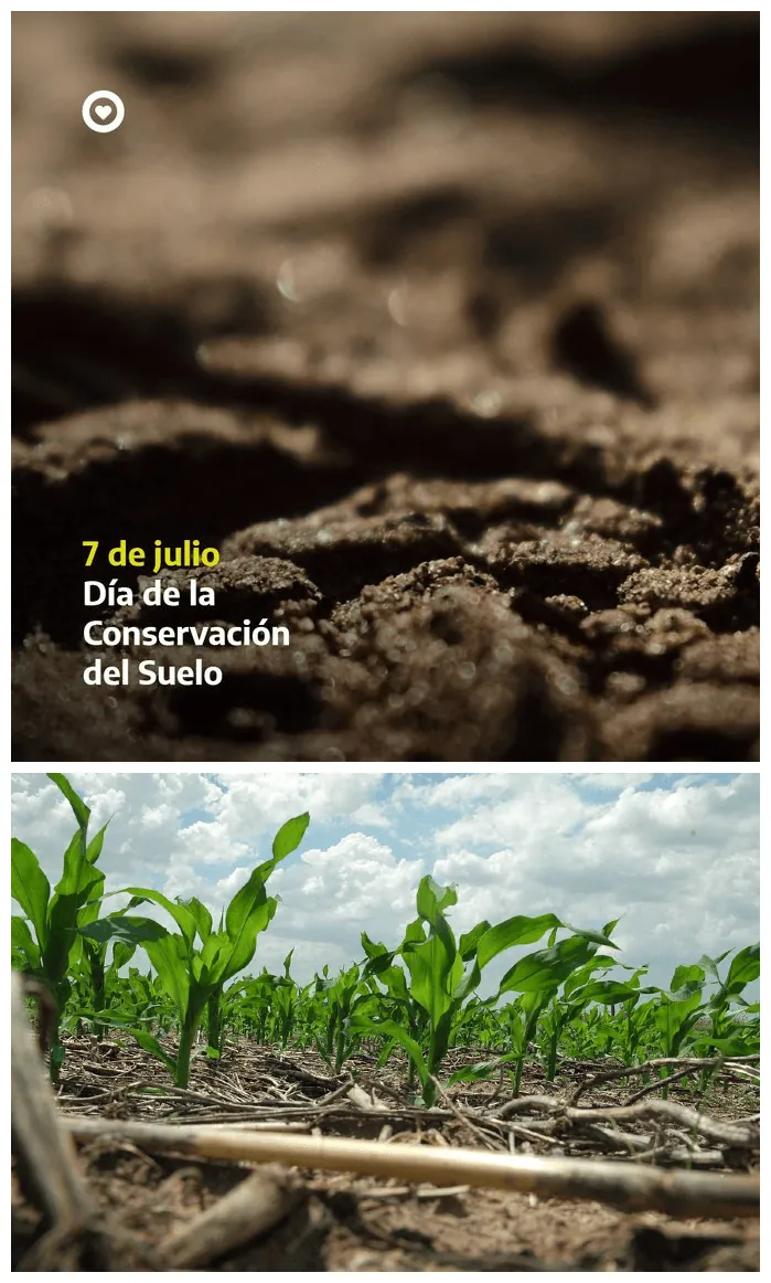 Los suelos dan vida a la Tierra