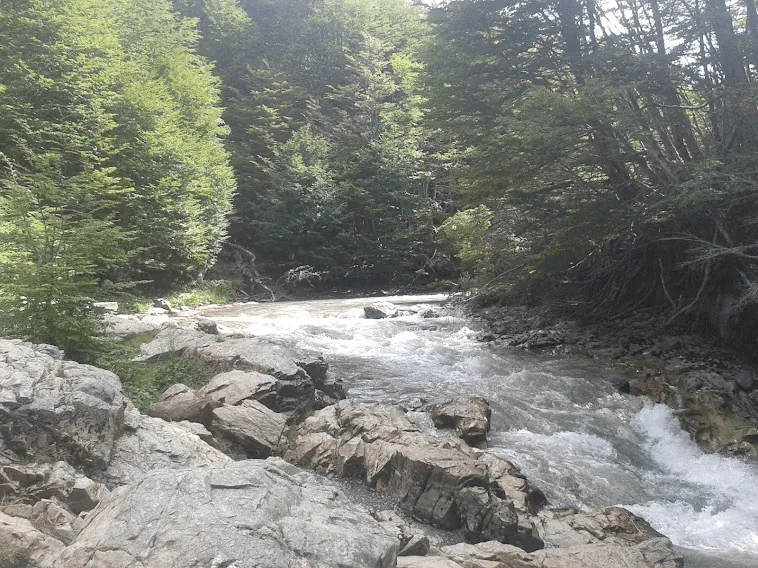 Baqueanos en la Patagonia