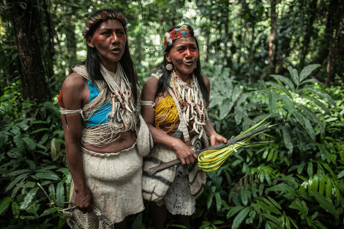 La vida en un entorno natural