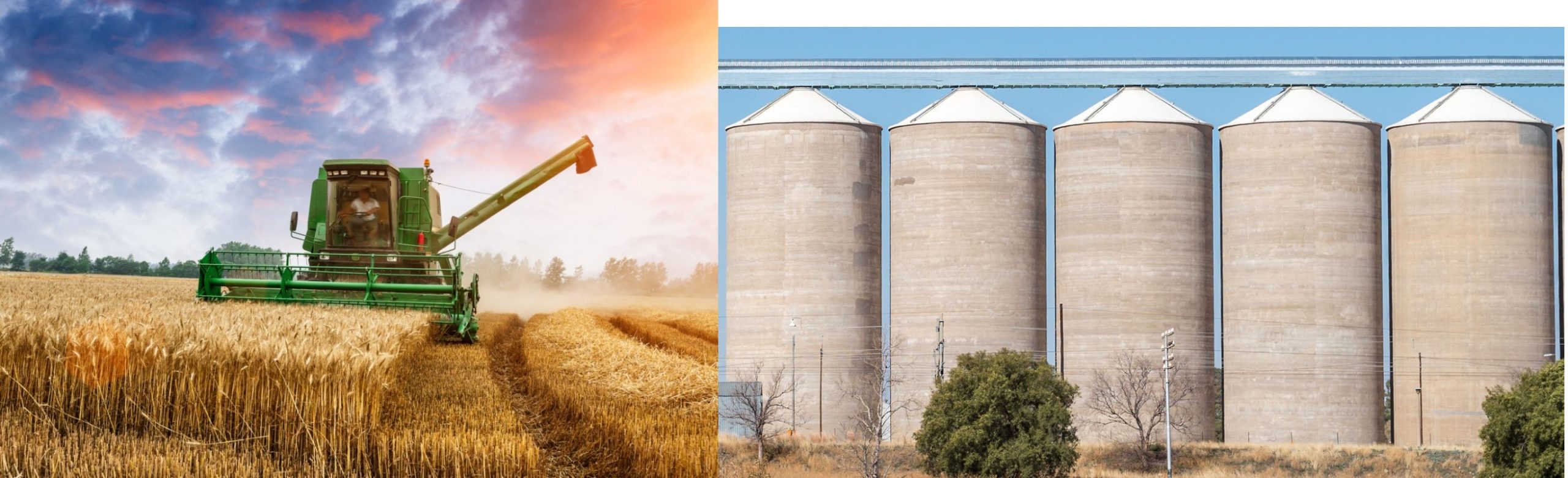La economía circular: un modelo productivo desde el campo
