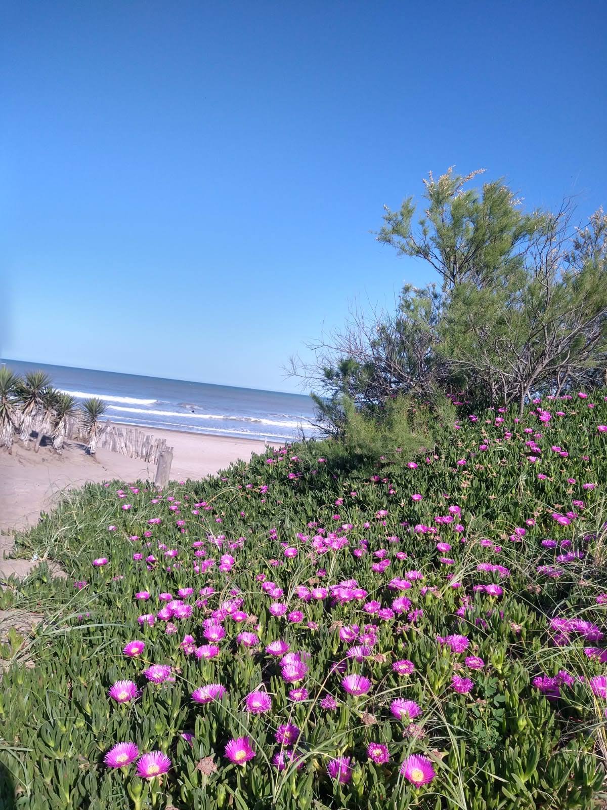 Vamos a la playa ¿Qué es en definitiva el mar?