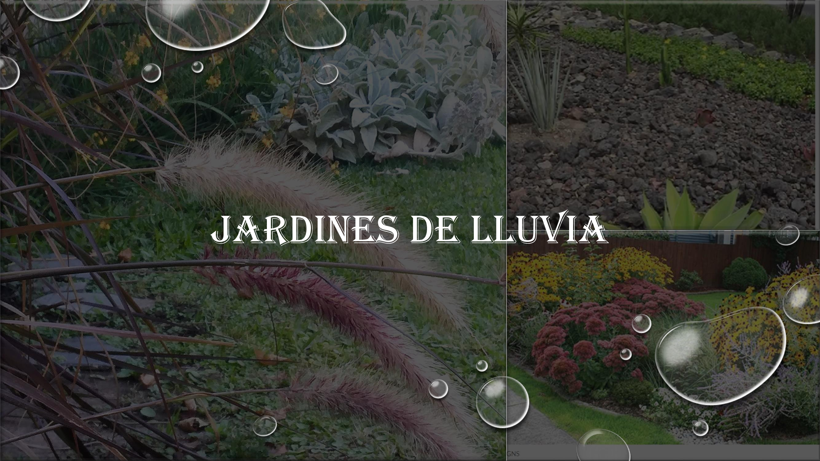 Rain gardens: Los jardines de lluvia urbanos