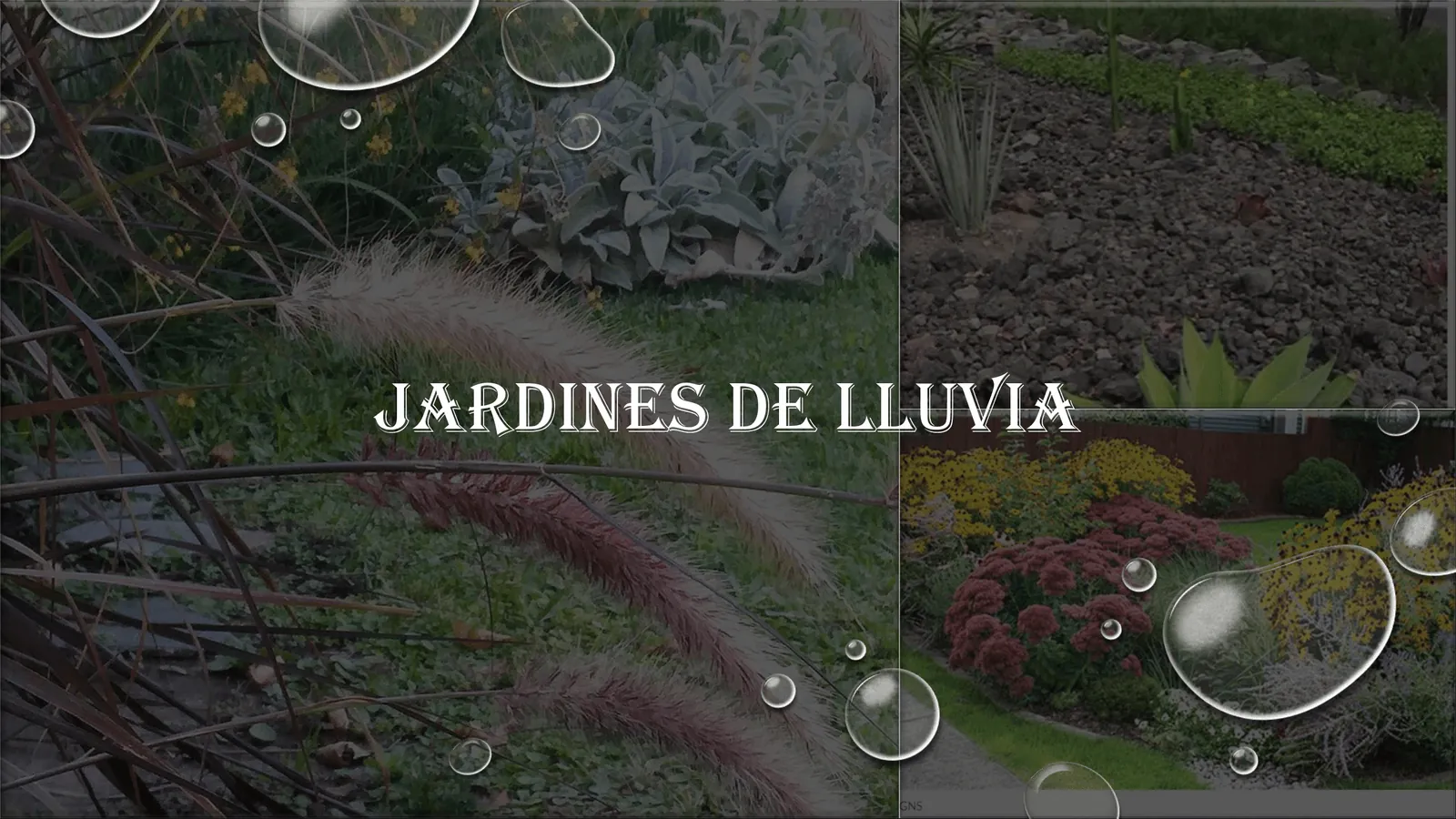 Rain gardens: Los jardines de lluvia urbanos