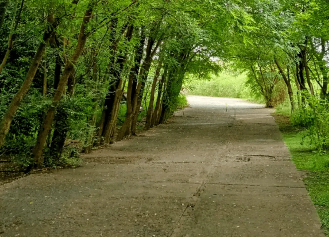 Pulmones verdes de biodiversidad: Reserva Ecológica Ciudad Universitaria